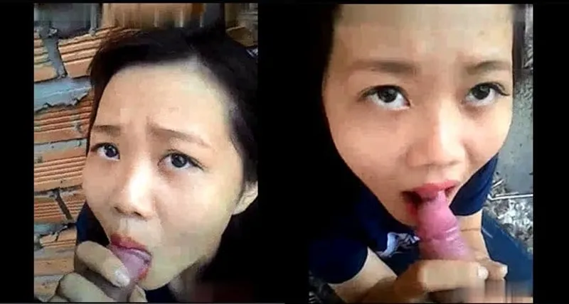 Gấu bú cò ở vườn sau nhà